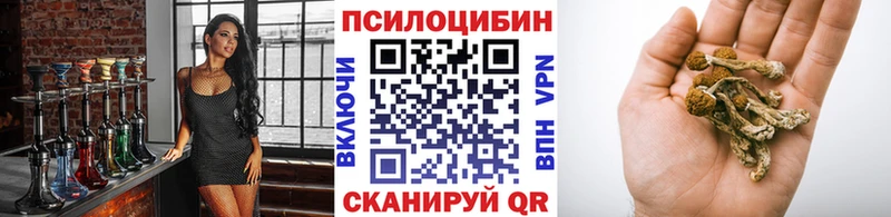 Псилоцибиновые грибы мухоморы Опочка